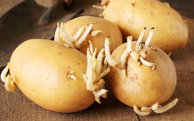 5 cách chọn khoai tây ngon và an toàn cho sức khỏe