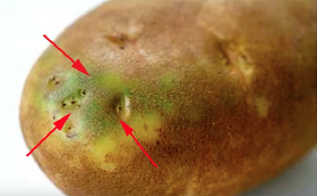 5 cách chọn khoai tây ngon và an toàn cho sức khỏe