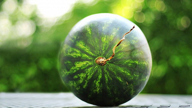 5 mẹo chọn dưa hấu ngon