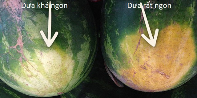 5 mẹo chọn dưa hấu ngon