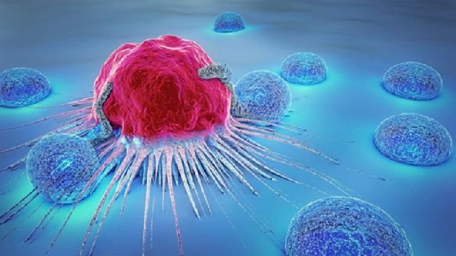 Ai không nên ăn bánh Trung thu ?