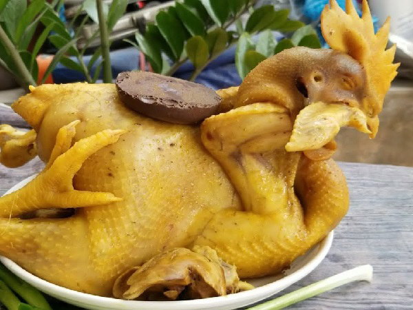 Cách chọn, luộc, và bày gà lễ