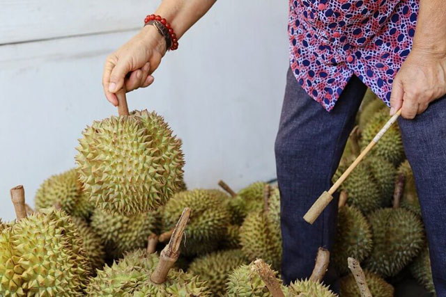 Cách chọn sầu riêng chuẩn ngon, chín tự nhiên, không thuốc