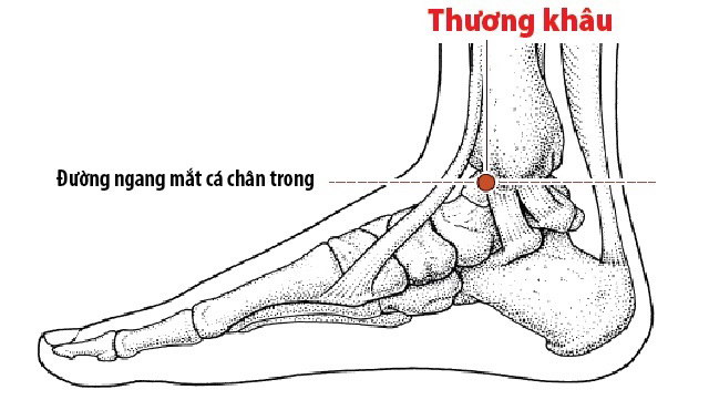 Cách massage giúp thải độc