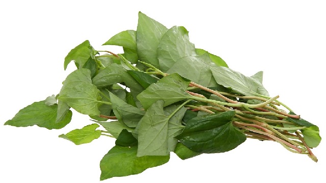 Cách trị bệnh trĩ tại nhà