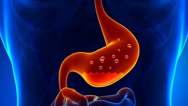 Chức năng của dạ dày