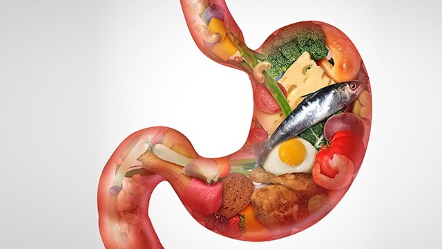 Chức năng của dạ dày