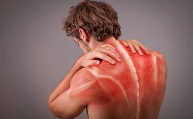 Đau cơ xơ hóa có liên quan tới hội chứng ruột kích thích