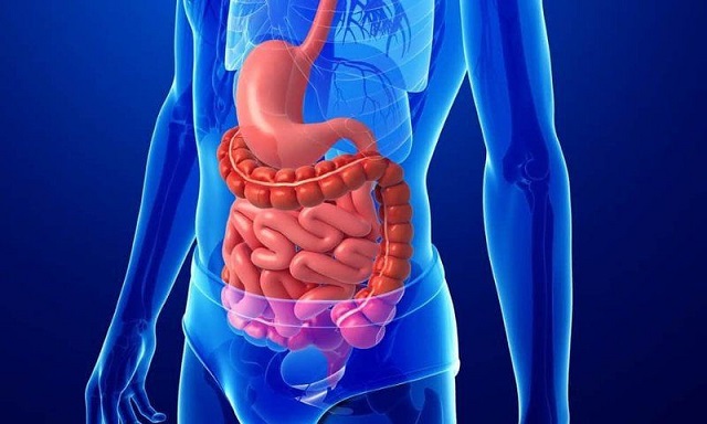 Hệ tiêu hóa khỏe giúp tâm trạng thư thái yêu đời hơn