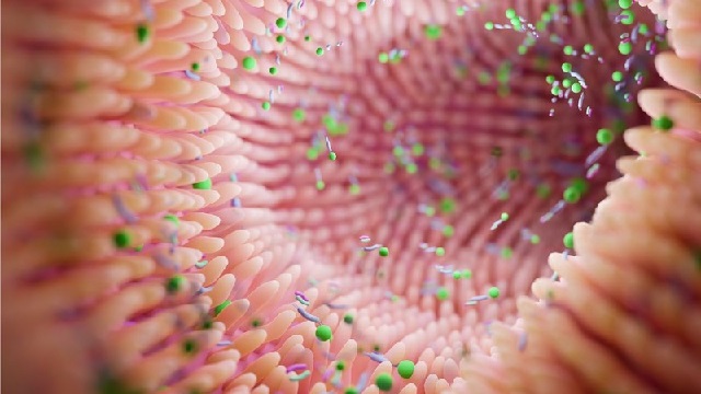 Mắc chứng giảm nhu động ruột dễ gây táo bón