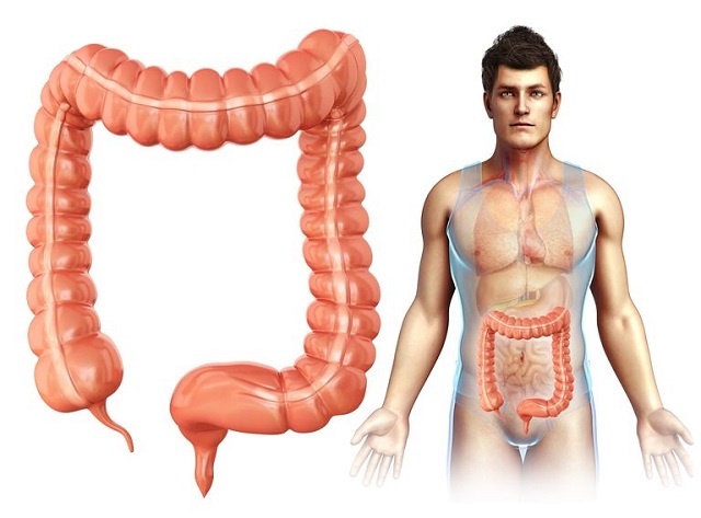 Một số biện pháp giúp làm sạch đại tràng an toàn
