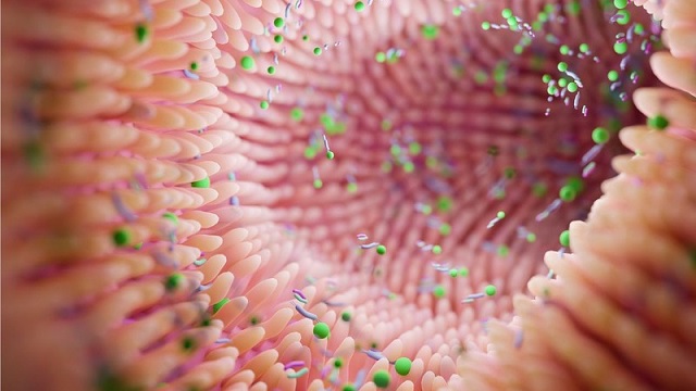 Nguyên nhân gây rối loạn nhu động đường tiêu hóa