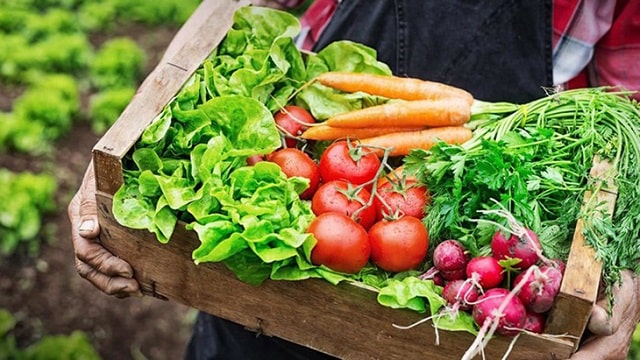 Những điều cần biết về thực phẩm hữu cơ