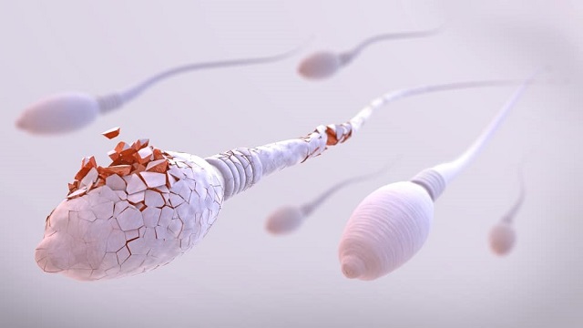 Những kẻ thù của tinh binh