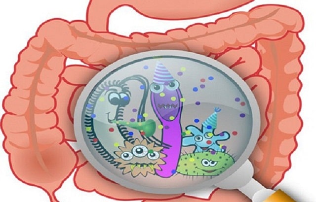 Những nguyên nhân gây ra chứng đầy bụng và đau lưng