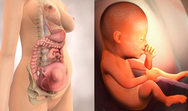 Những nguyên nhân khiến thai phụ mất ngủ