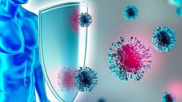 Những thực phẩm giúp tăng sức đề kháng cho cơ thể