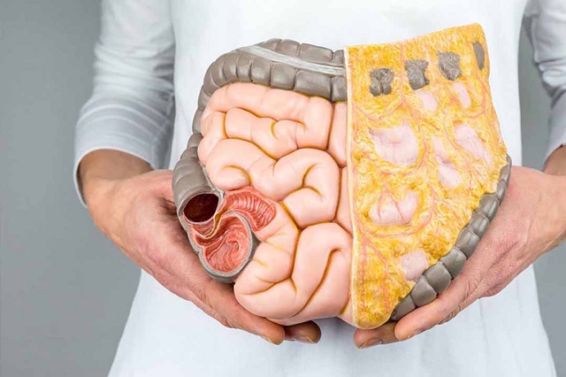 Những vấn đề thường gặp ở ruột non