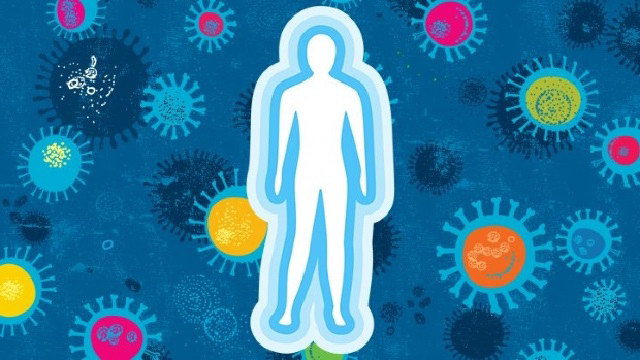 Sức đề kháng là gì?