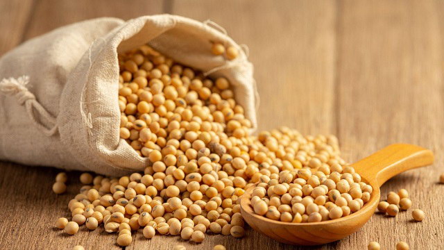 Tác dụng của đỗ tương rang