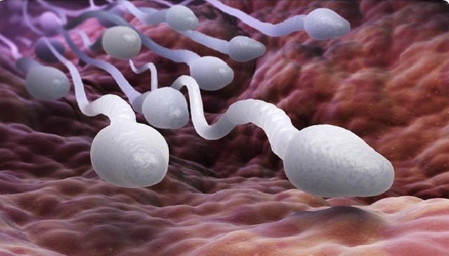 Thực phẩm giúp nam giới sản sinh tinh binh