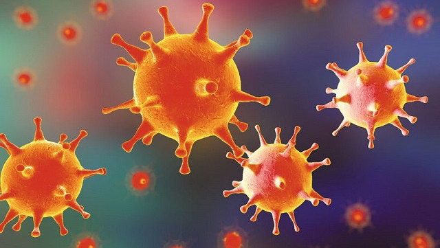 Thực phẩm giúp tăng sức đề kháng phòng dịch bệnh do virus