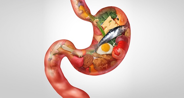 Tìm hiểu quá trình tiêu hóa ở ruột non và ruột già