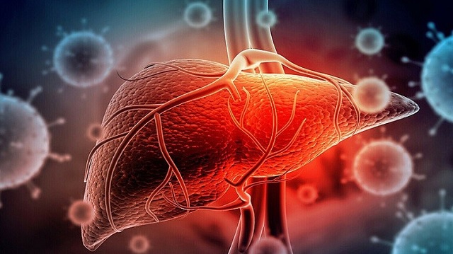 Tìm hiểu về phương pháp làm sạch và thải độc gan