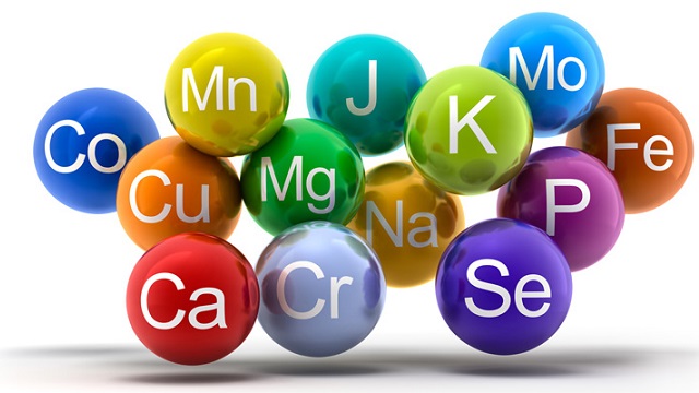 Vitamin và khoáng chất có vai trò quan trọng đối với cơ thể người